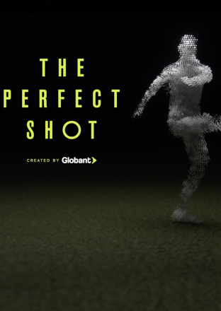 The Perfect Shot