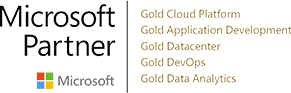 Microsoft Partner