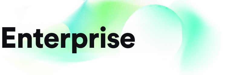 Enterprise