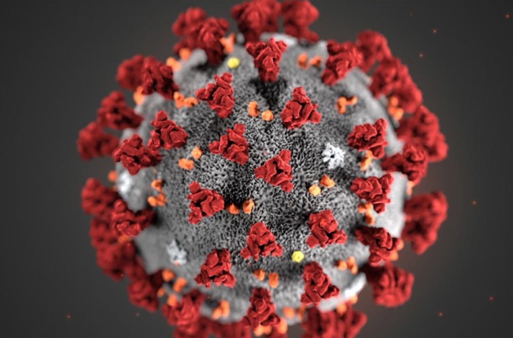 Ciberataques: riesgo interconectado a la pandemia del coronavirus